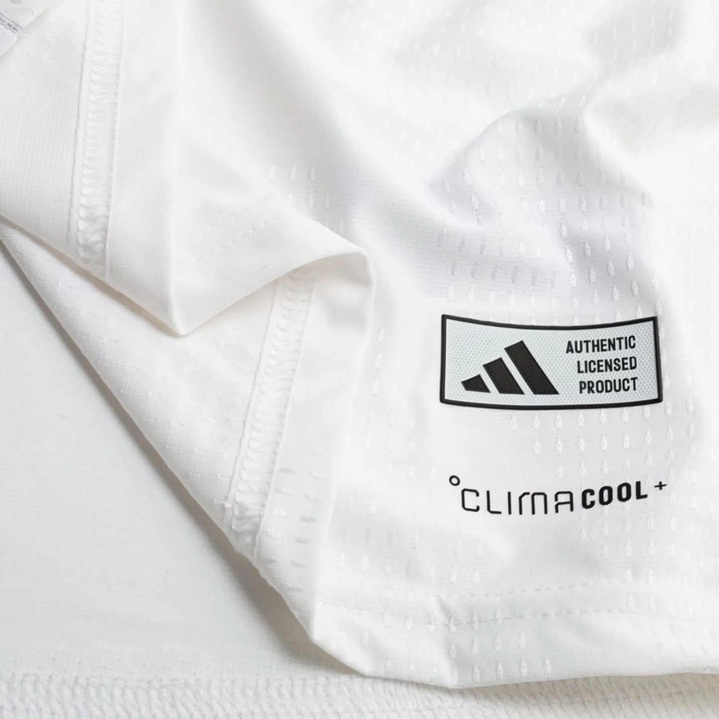 Tyskland Hemmatröja Authentic 2026